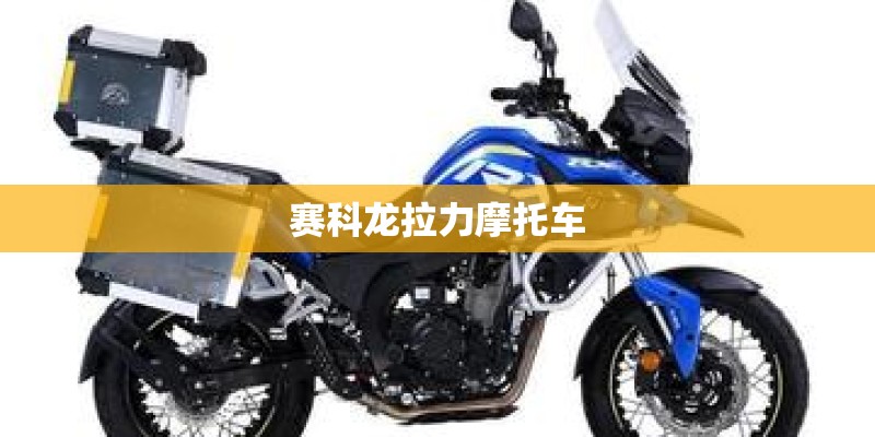 赛科龙拉力摩托车