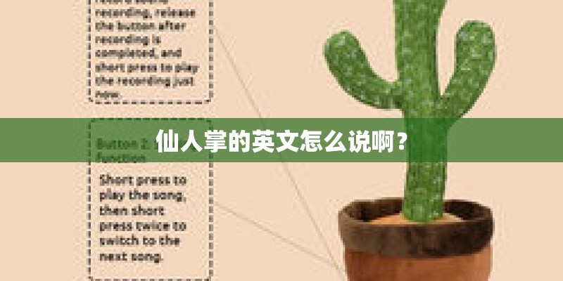 仙人掌的英文怎么说啊？