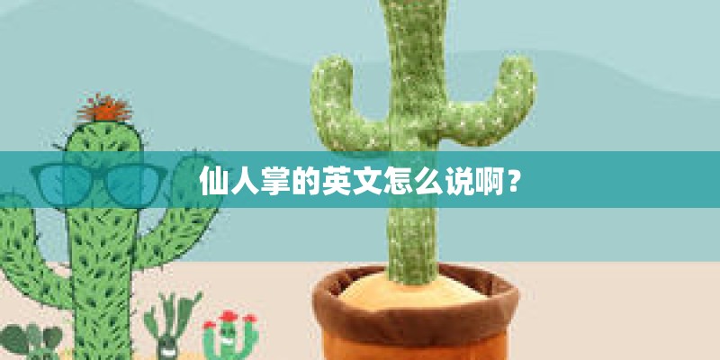 仙人掌的英文怎么说啊？
