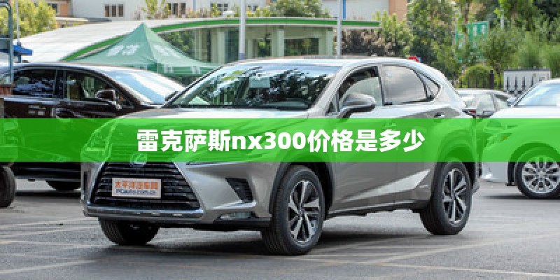 雷克萨斯nx300价格是多少