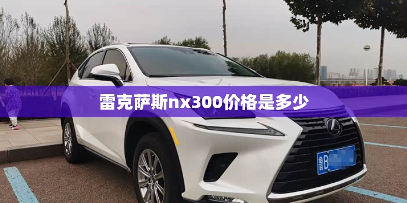 雷克萨斯nx300价格是多少