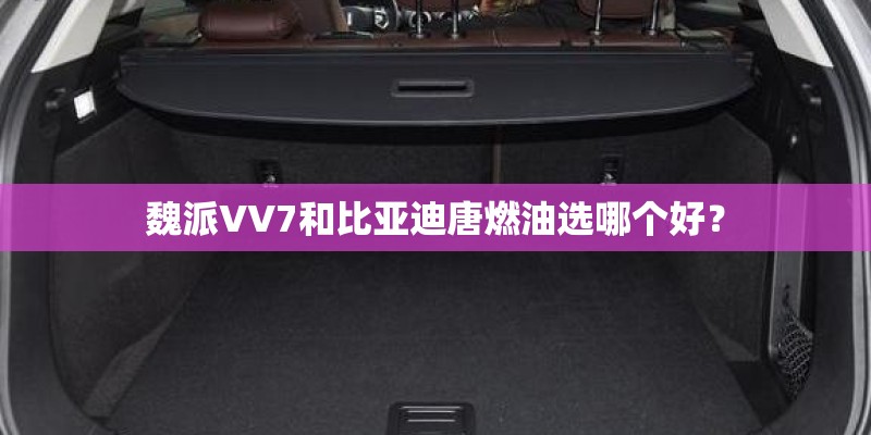 魏派VV7和比亚迪唐燃油选哪个好？