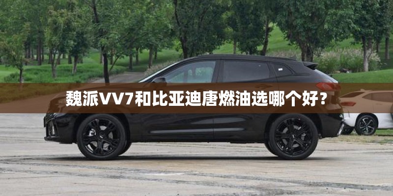 魏派VV7和比亚迪唐燃油选哪个好？
