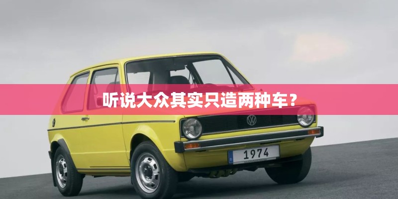 听说大众其实只造两种车？