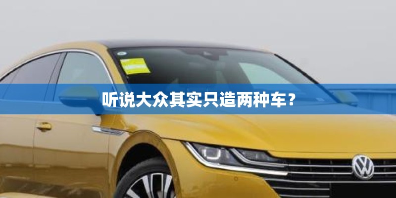 听说大众其实只造两种车？