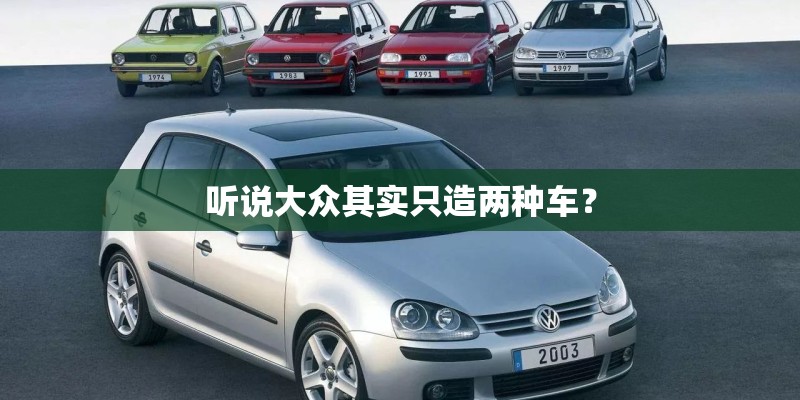 听说大众其实只造两种车？