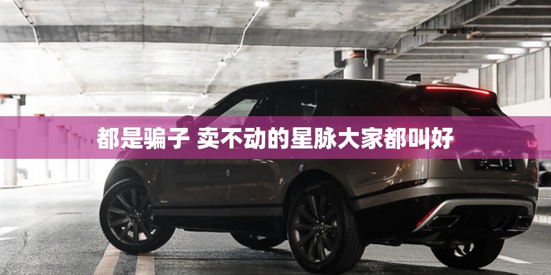 都是骗子 卖不动的星脉大家都叫好