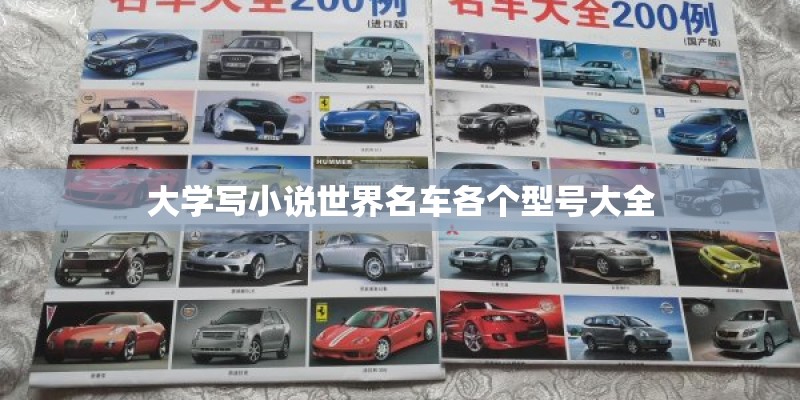大学写小说世界名车各个型号大全