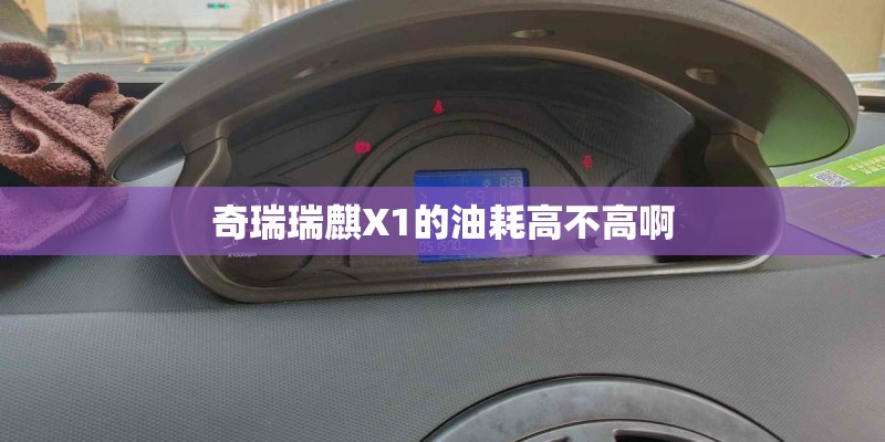 奇瑞瑞麒X1的油耗高不高啊