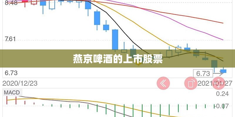 燕京啤酒的上市股票