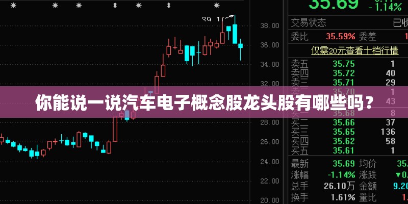 你能说一说汽车电子概念股龙头股有哪些吗？