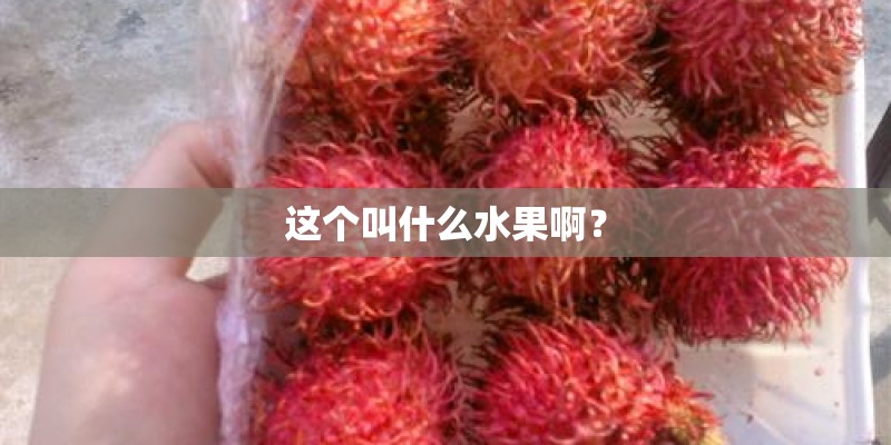 这个叫什么水果啊？