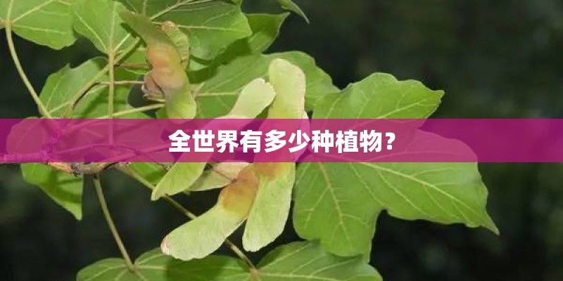 全世界有多少种植物？
