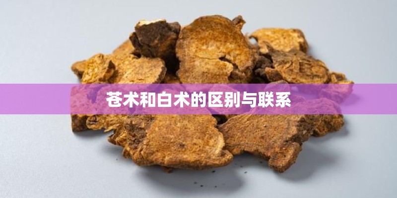 苍术和白术的区别与联系