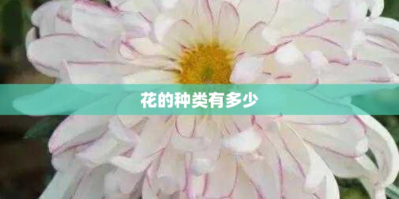 花的种类有多少