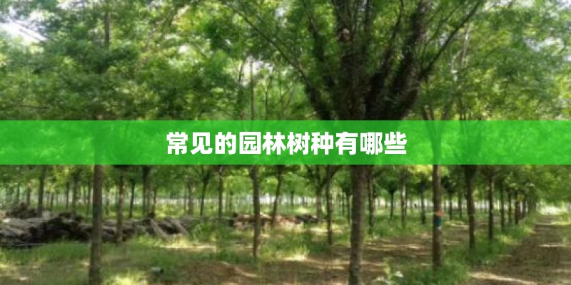 常见的园林树种有哪些