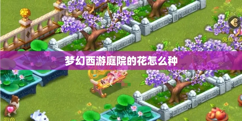 梦幻西游庭院的花怎么种
