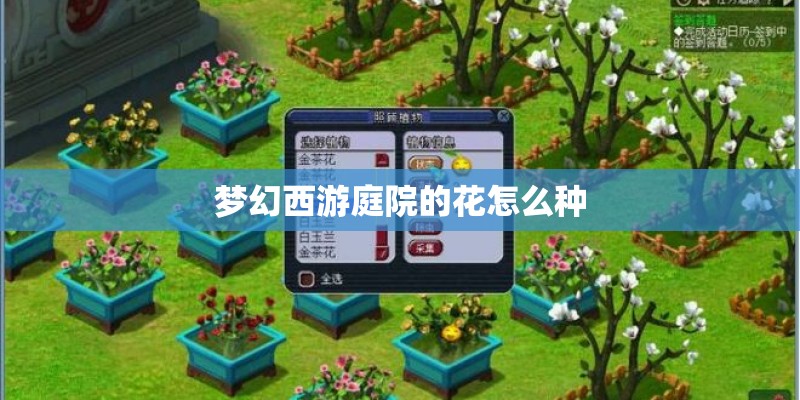 梦幻西游庭院的花怎么种