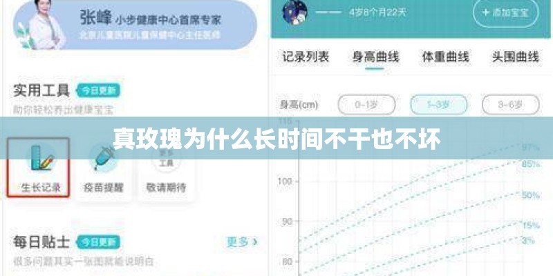 真玫瑰为什么长时间不干也不坏