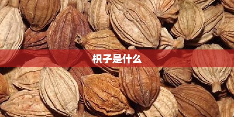 枳子是什么
