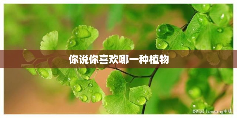 你说你喜欢哪一种植物