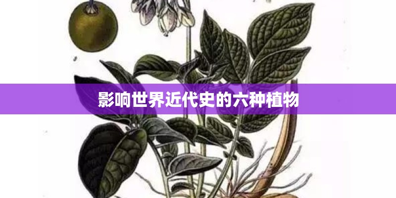 影响世界近代史的六种植物