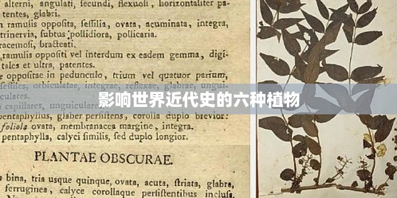 影响世界近代史的六种植物