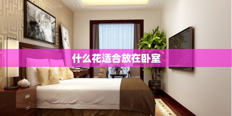 什么花适合放在卧室