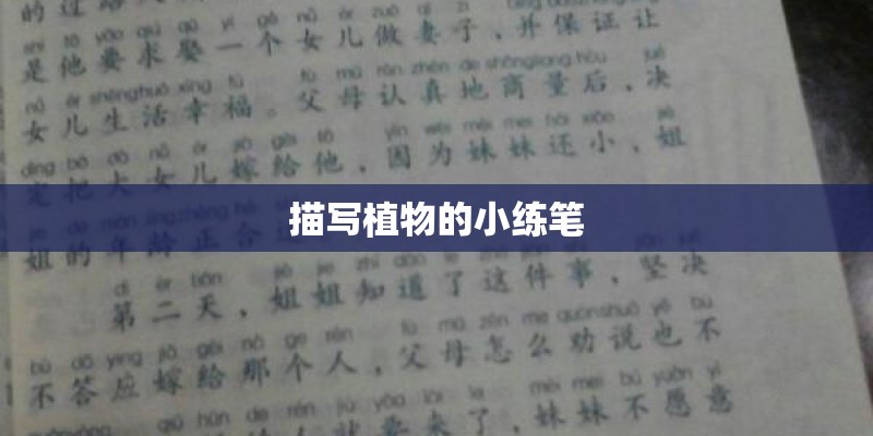 描写植物的小练笔