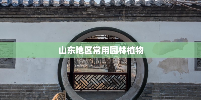 山东地区常用园林植物