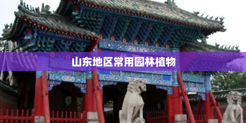 山东地区常用园林植物
