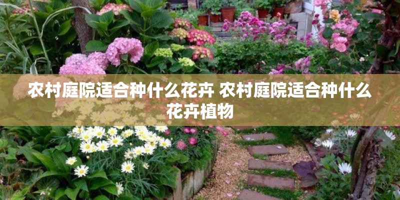 农村庭院适合种什么花卉 农村庭院适合种什么花卉植物