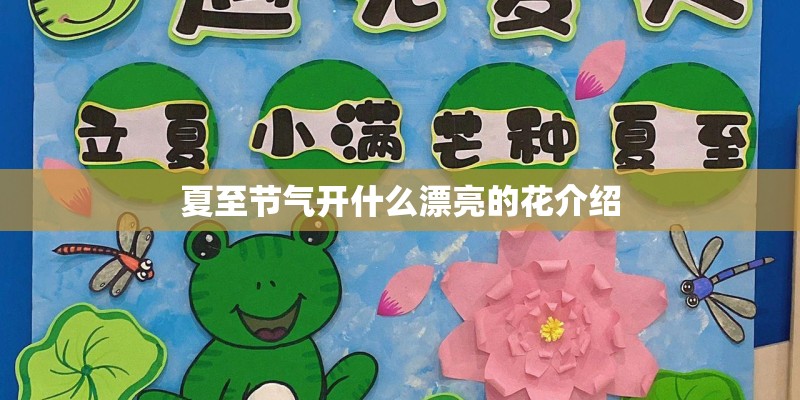 夏至节气开什么漂亮的花介绍