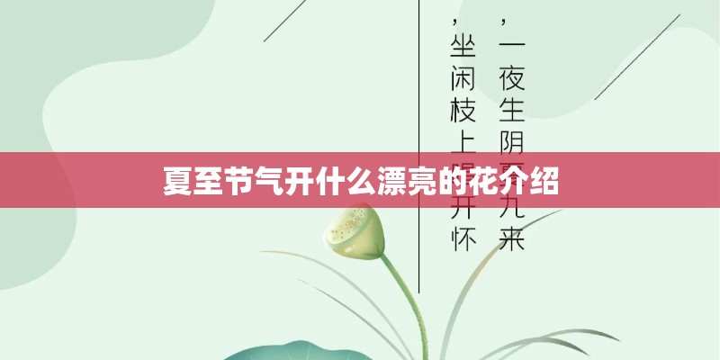 夏至节气开什么漂亮的花介绍