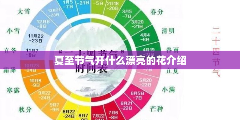 夏至节气开什么漂亮的花介绍