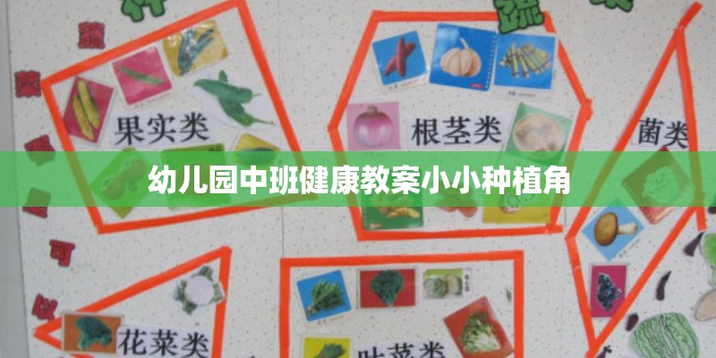 幼儿园中班健康教案小小种植角 幼儿园中班健康教案小小种植角