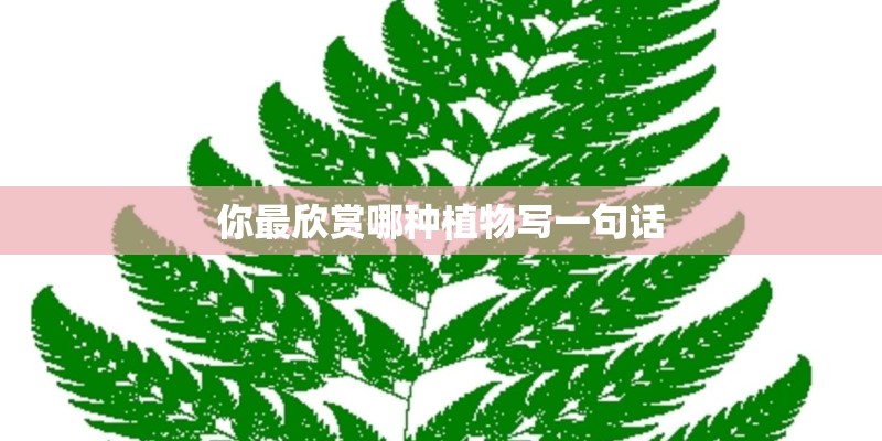你最欣赏哪种植物写一句话