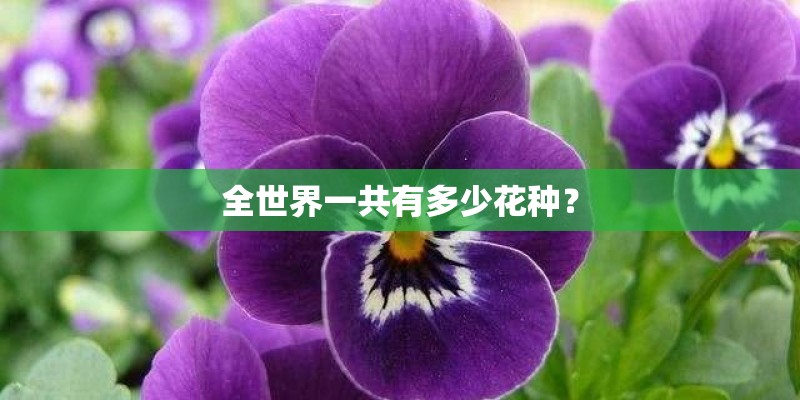 全世界一共有多少花种？