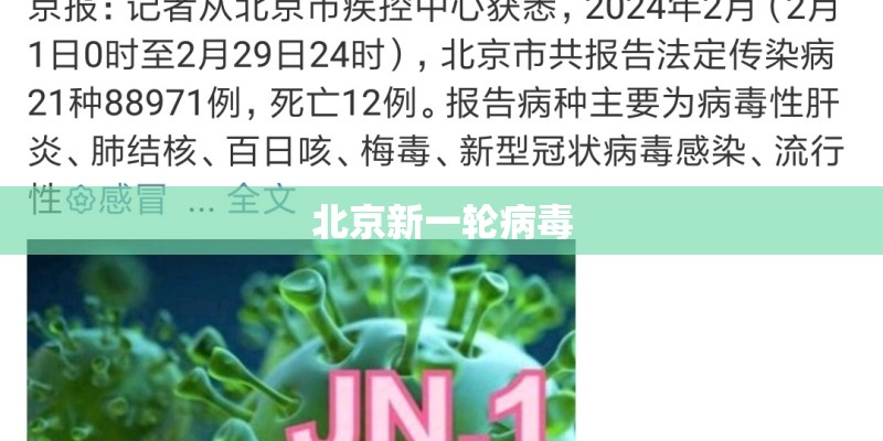 北京新一轮病毒