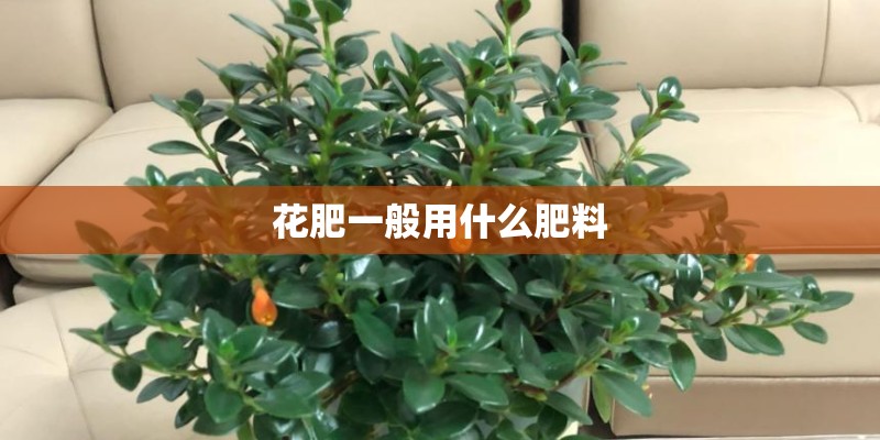 花肥一般用什么肥料