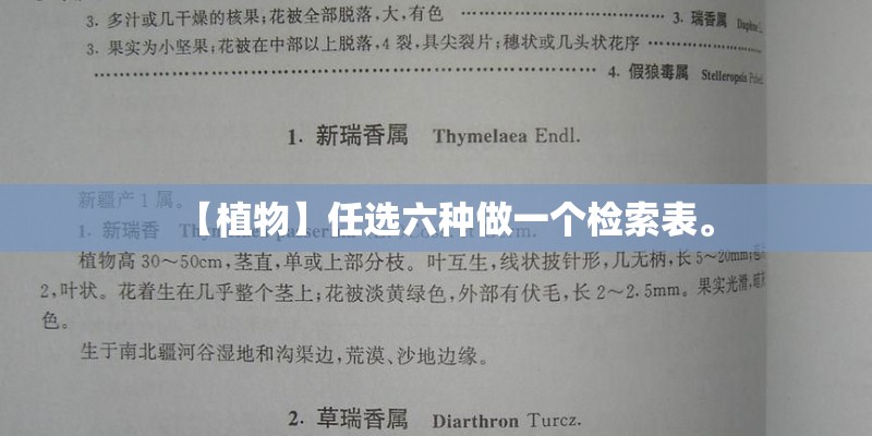 【植物】任选六种做一个检索表。