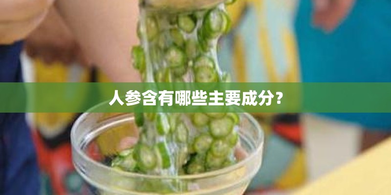人参含有哪些主要成分？
