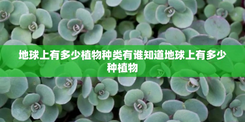 地球上有多少植物种类有谁知道地球上有多少种植物