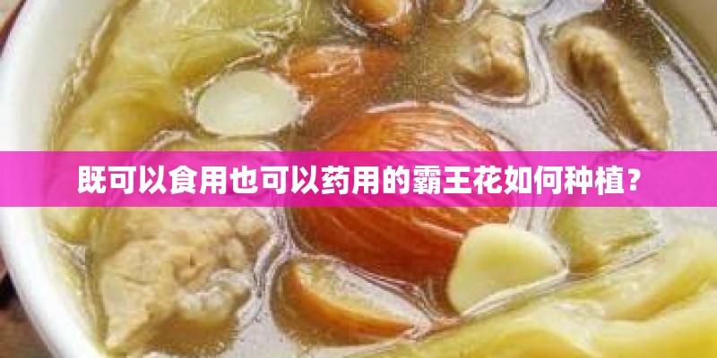 既可以食用也可以药用的霸王花如何种植？