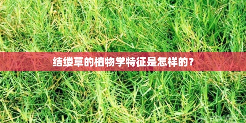 结缕草的植物学特征是怎样的？