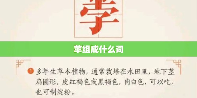 苹组成什么词