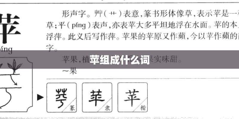 苹组成什么词