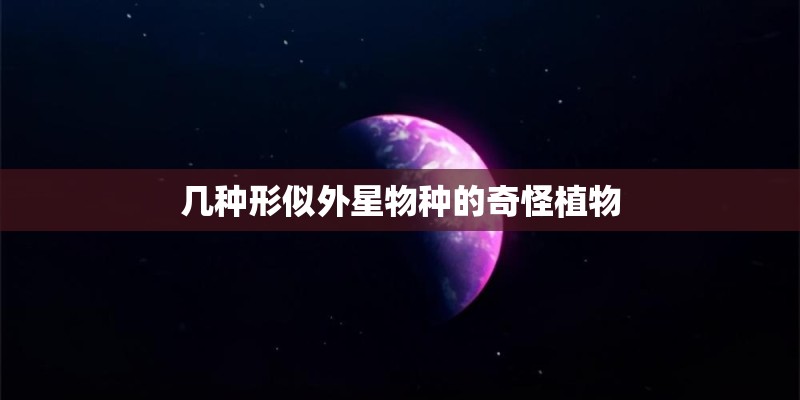 几种形似外星物种的奇怪植物