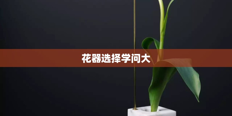 花器选择学问大