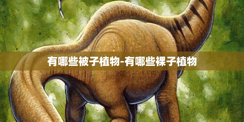 宿舍里适合种什么盆栽植物（在宿舍适合种什么植物）